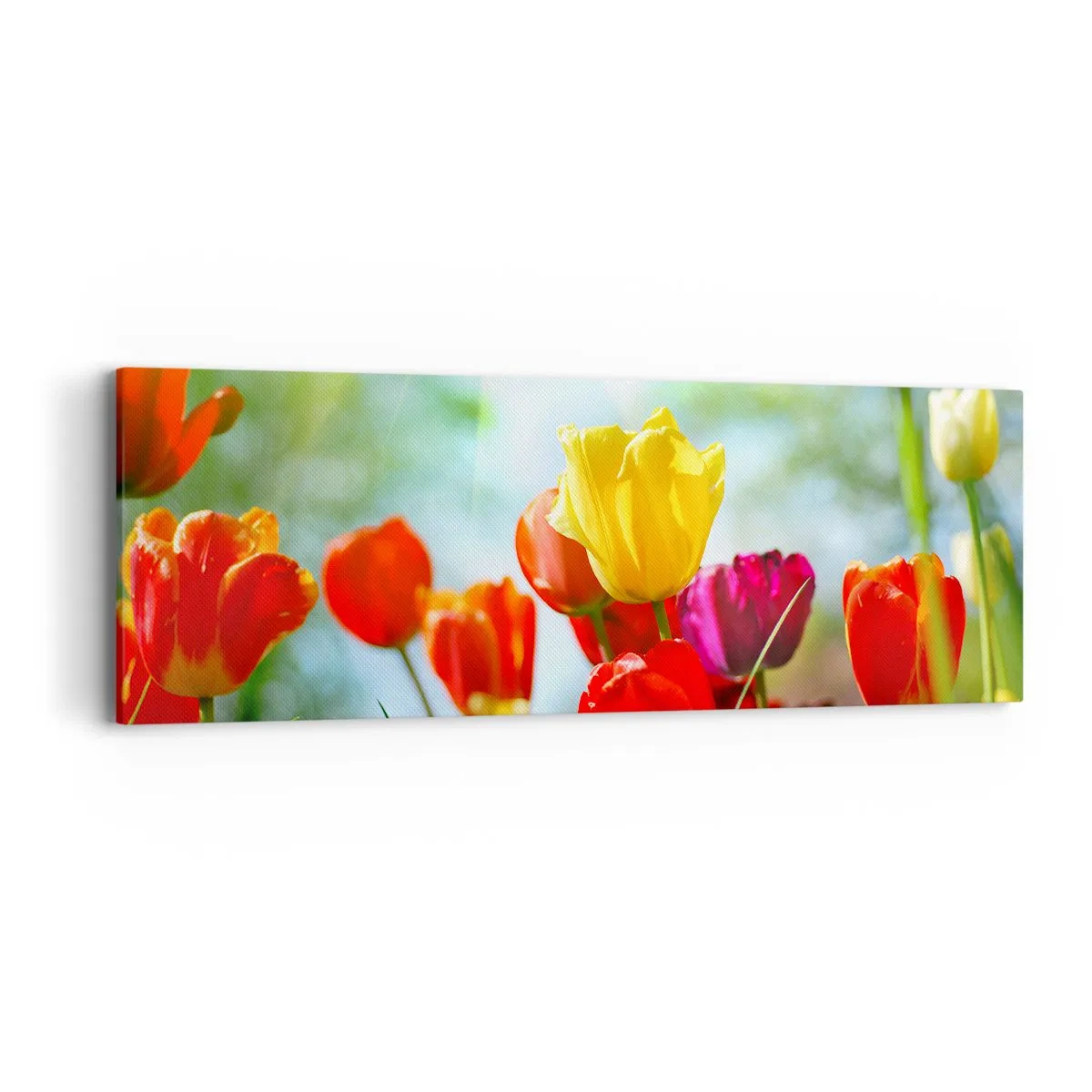 Schilderen op canvas - Alle kleuren van de zon - 90x30 cm