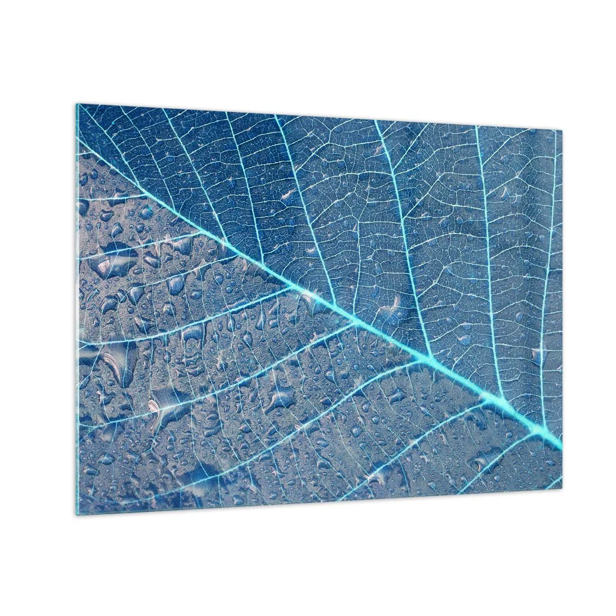 Schilderen op glas - Macrofotografie van een blad met waterdruppels in blauwtinten - 70x50cm - Leven in blauw - Moderne wanddecoratie voor woonkamer en slaapkamer ARTTOR