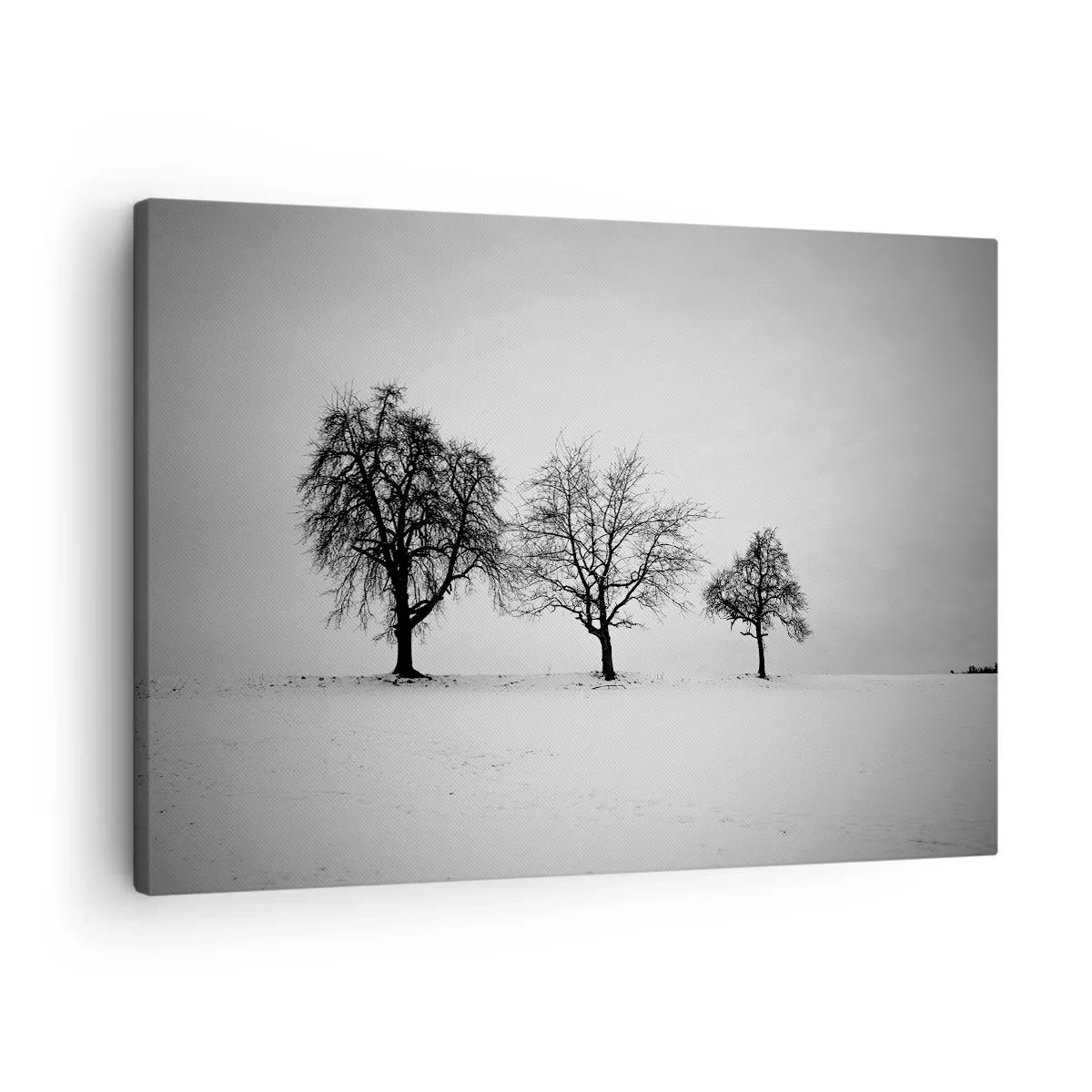 Schilderen op canvas - Drie bomen in een besneeuwd veld in een monochrome stijl - 70x50cm - Waar dromen ze over? - Moderne wanddecoratie voor woonkamer en slaapkamer ARTTOR