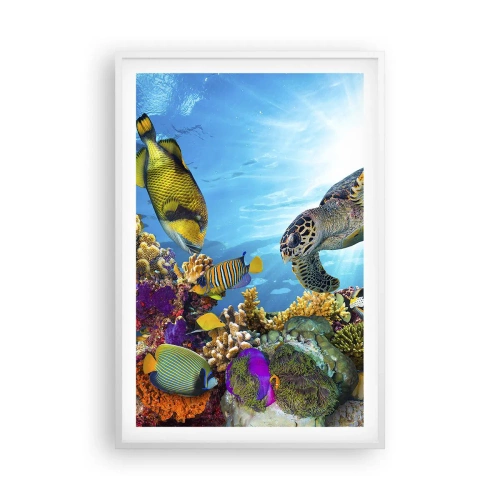 Poster in een witte lijst - Koraalpromenade - 61x91 cm