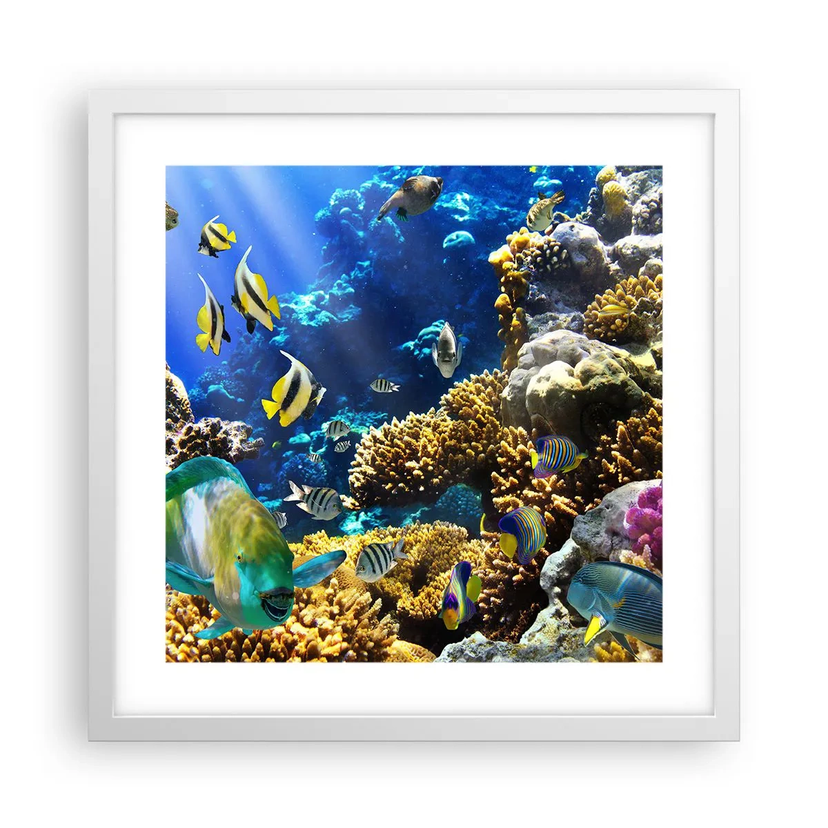 Poster in een witte lijst - Veel verkeer op de vakantieroute - 40x40 cm