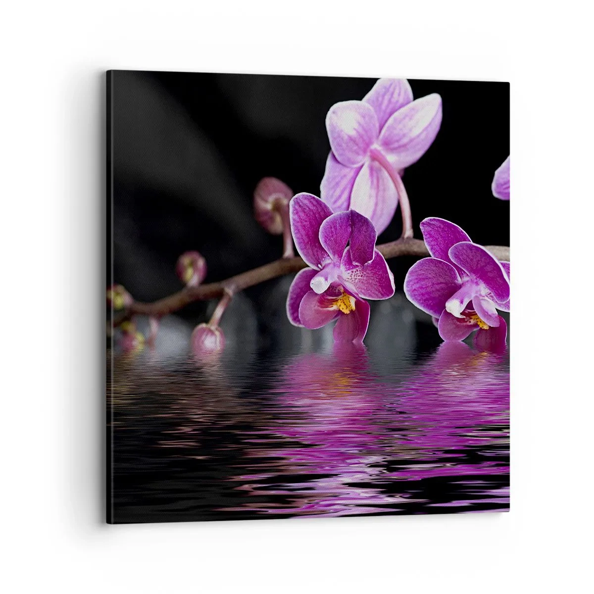 Schilderen op canvas - Lila weerspiegeling van schoonheid - 70x70 cm