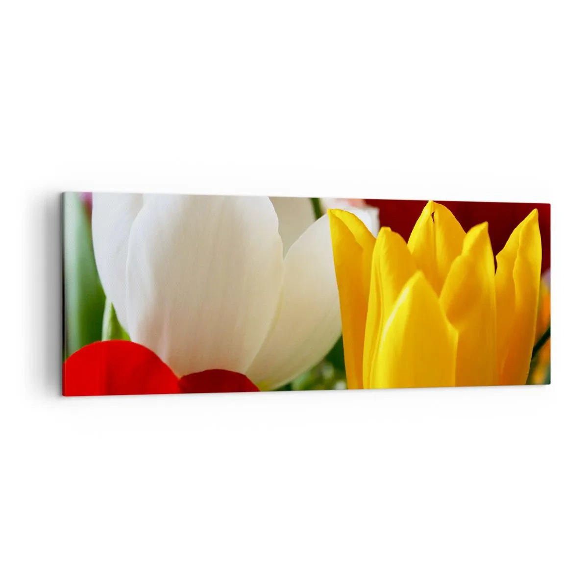 Schilderen op canvas - Tulpenkoorts - 140x50 cm