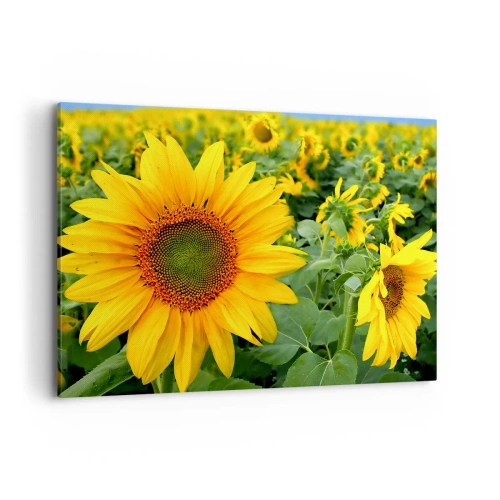 Schilderen op canvas - Honderden zonnen vlamden op - 100x70 cm