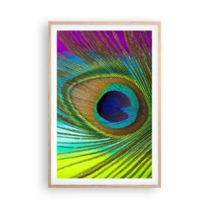 Een poster in een licht eiken lijst - Oog in oog - 61x91 cm
