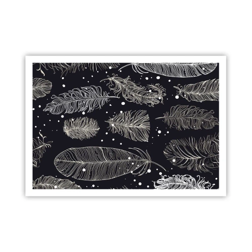 Poster - Gevederde kant - 100x70 cm