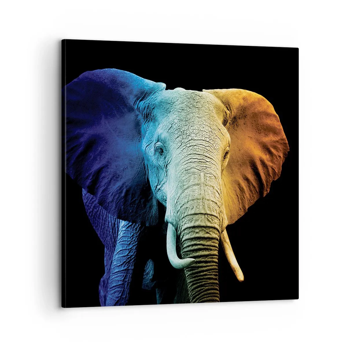 Schilderen op canvas - Excentriek, niet raar - 60x60 cm