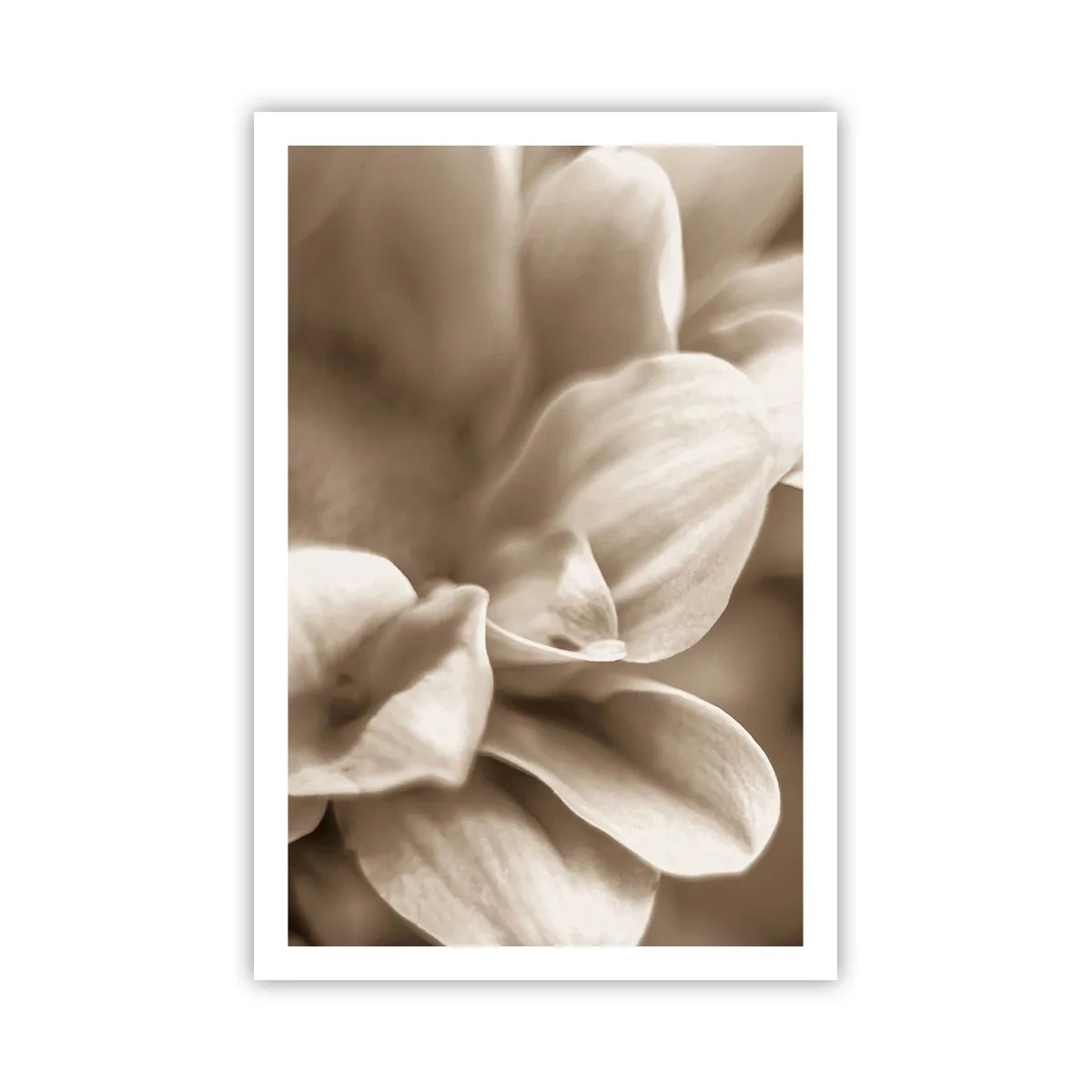 Poster - Zo zacht als een glimlach - 61x91 cm