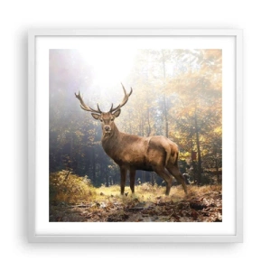 Poster in een witte lijst - In volle majesteit - 50x50 cm