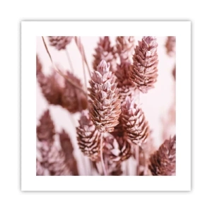 Poster - Schijnbaar onopvallend - 40x40 cm