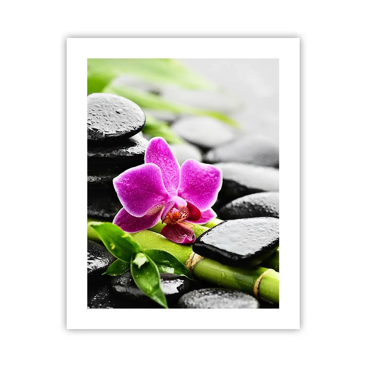 Poster - In een vrede evenwicht - 40x50 cm