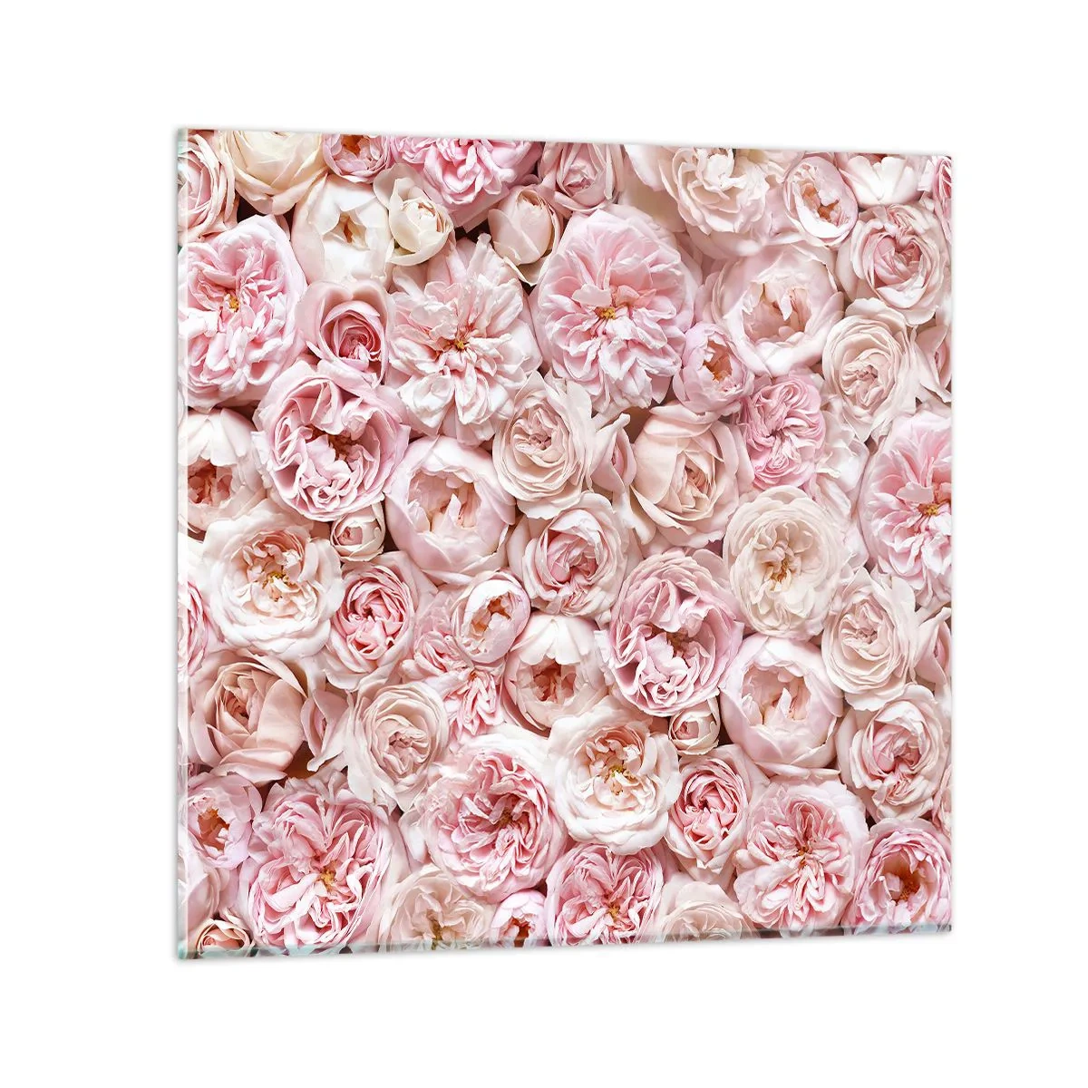 Schilderen op glas - Een bed van rozen - 40x40 cm