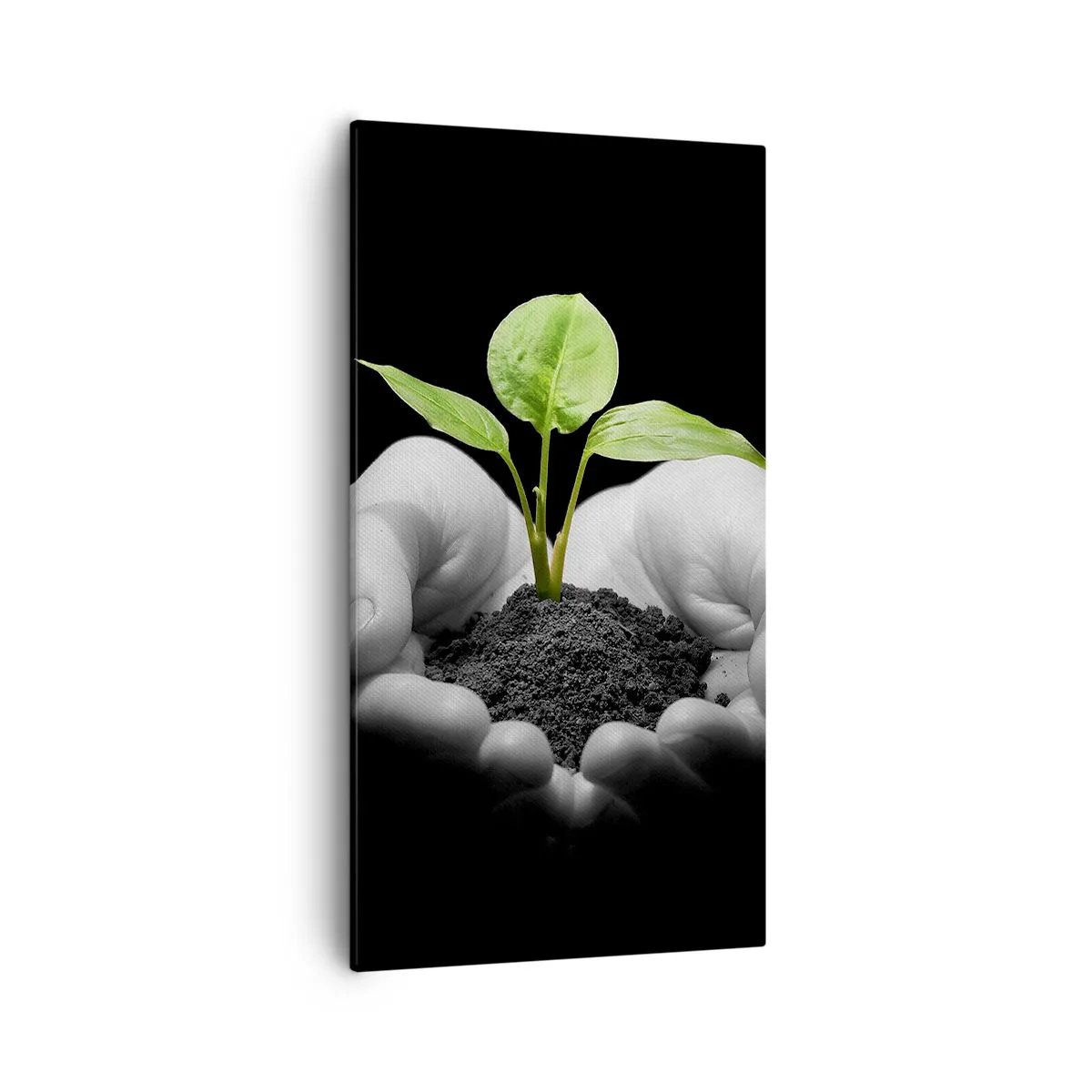 Schilderen op canvas - Ik hou van de natuur, ik bescherm haar - 55x100 cm