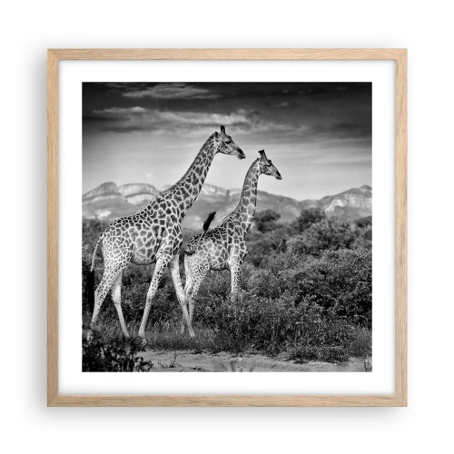 Een poster in een licht eiken lijst - Hoge sferen in Afrika - 50x50 cm