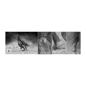 Fotobehang Monster Premium Canvas - De emir zelf waardig - Paard, Dieren, Natuur - 100x30 cm