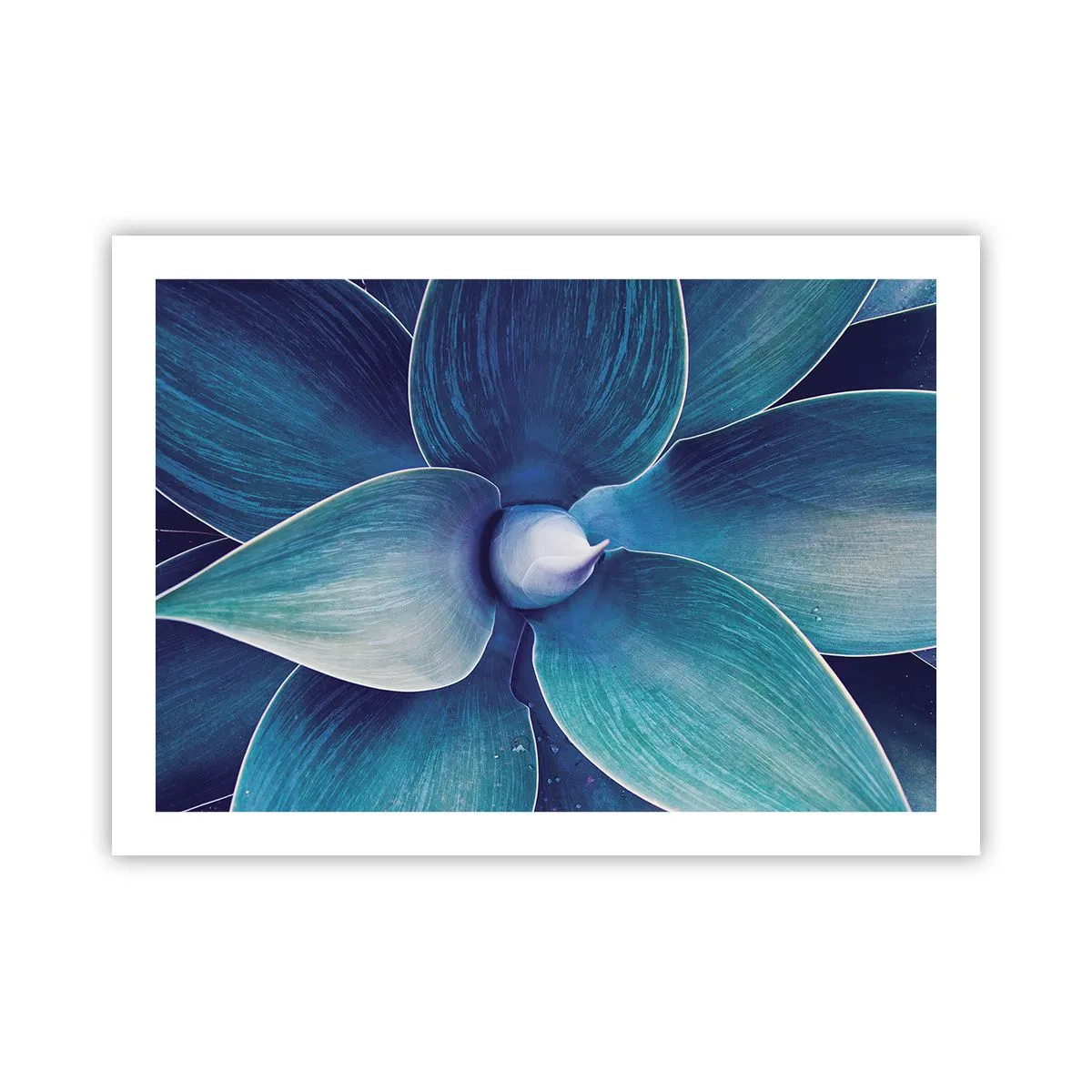 Poster - Blauw uit de lucht - 70x50 cm