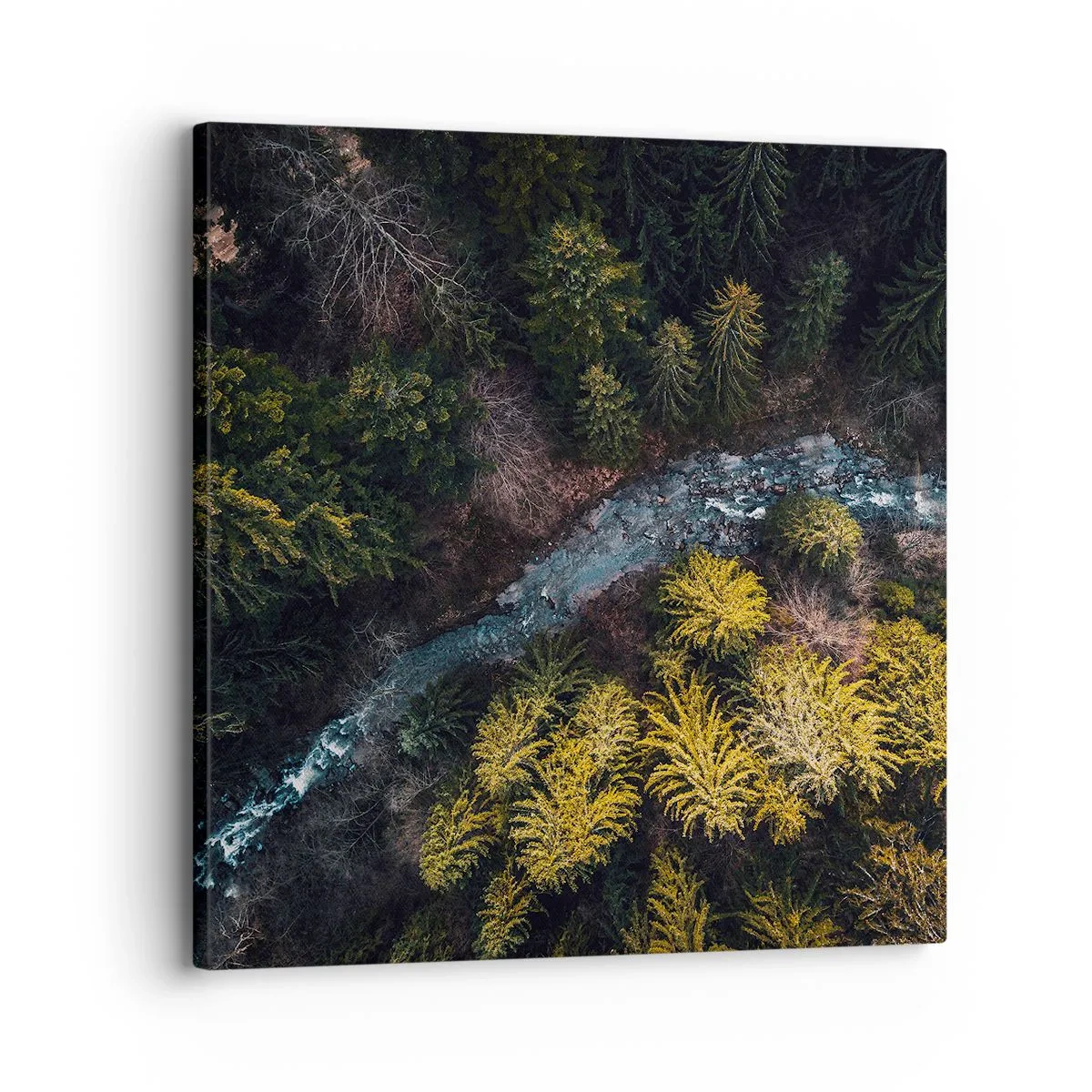 Schilderen op canvas - Snel, sneller en sneller - 30x30 cm
