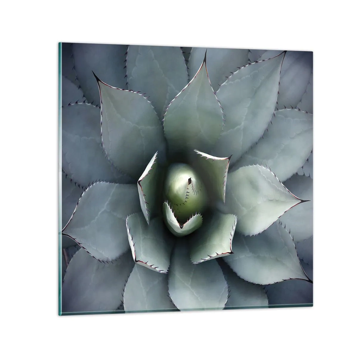 Schilderen op glas - Het trekt aan en waarschuwt - 70x70 cm