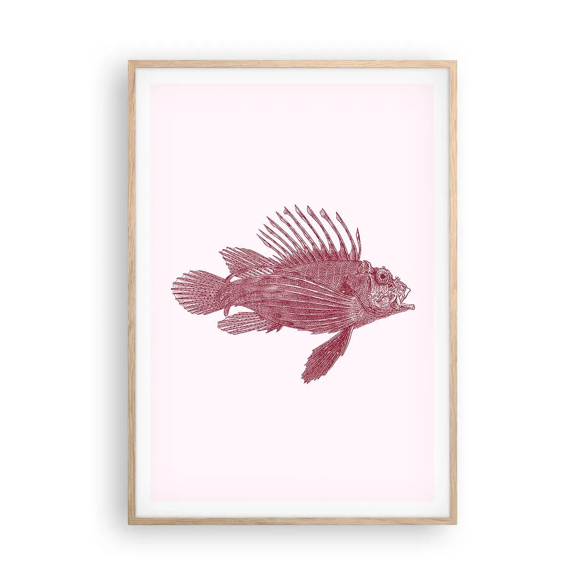 Een poster in een licht eiken lijst - Inwoner van exotische wateren - 70x100 cm