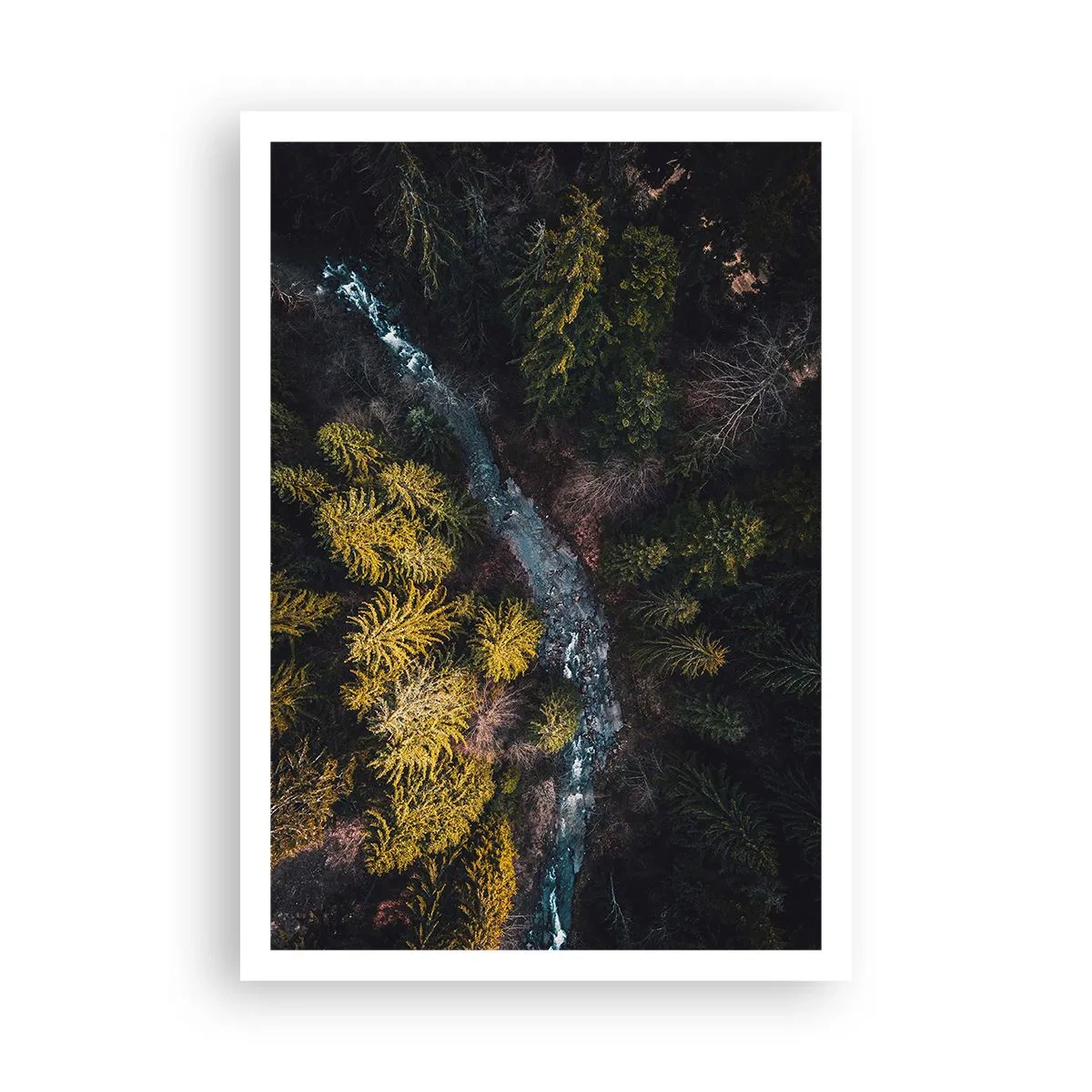 Poster - Snel, sneller en sneller - 70x100 cm