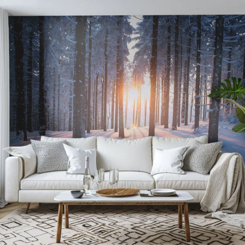 Fotobehang Standard Eco - Duidelijk in zwart-wit - Landschap, Woud, Sneeuw - 250x175 cm