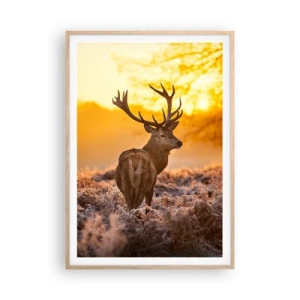 Een poster in een licht eiken lijst - Koning van het herfstbos - 70x100 cm