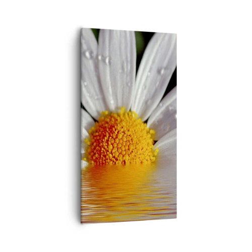 Schilderen op canvas - De rijzende zon van madeliefjes - 55x100 cm