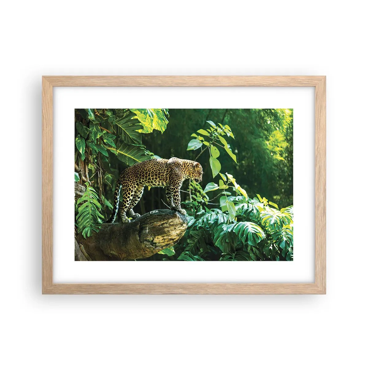 Een poster in een licht eiken lijst - Op jacht? - 40x30 cm
