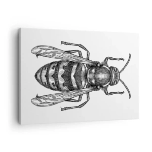 Schilderen op canvas - Een cartoon wespenmotief op een witte achtergrond in een minimalistische stijl. - 70x50cm - Van een insectenplaneet - Moderne wanddecoratie voor woonkamer en slaapkamer ARTTOR