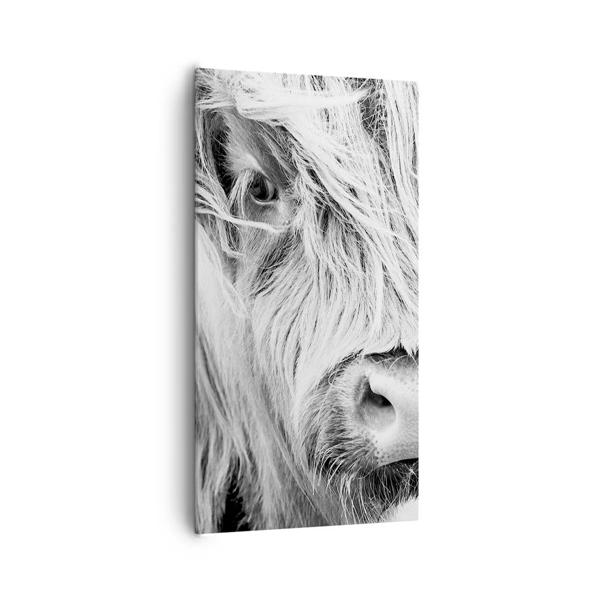 Schilderen op canvas - Schotse wildheid - 65x120 cm