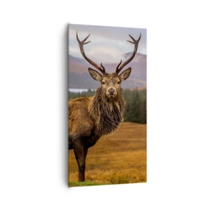 Schilderen op canvas - De majesteit van de natuur - 65x120 cm