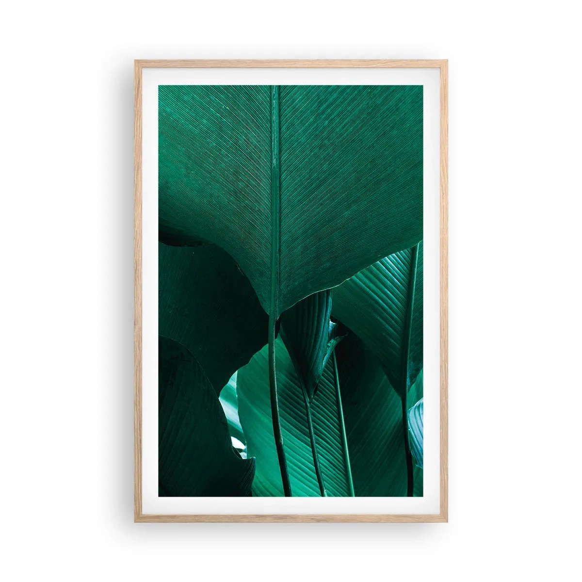 Een poster in een licht eiken lijst - Naar het licht gekeerd - 61x91 cm