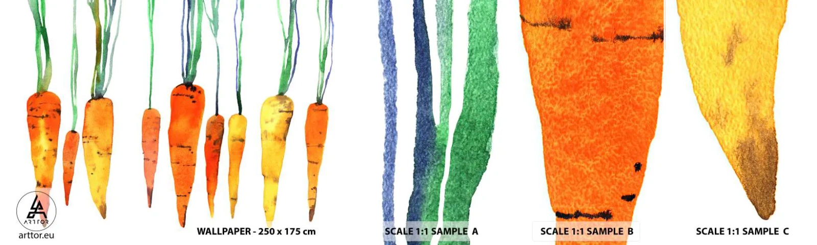 Fotobehang Staaltje Standard Eco - De schoonheid van het gewone - Gastronomie, Wortel, Grafisch - 100x30 cm