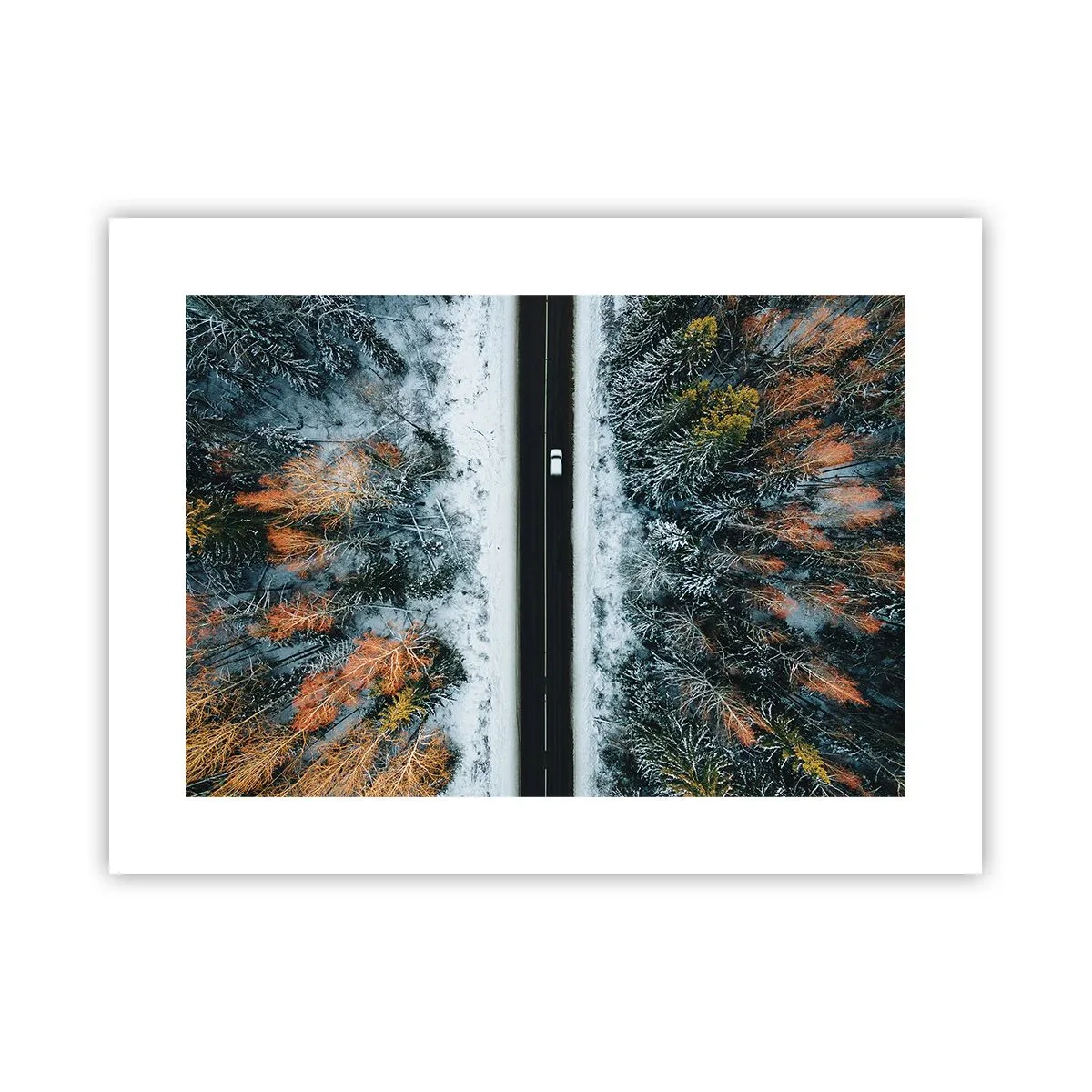 Poster - Snijd door het winterbos - 40x30 cm