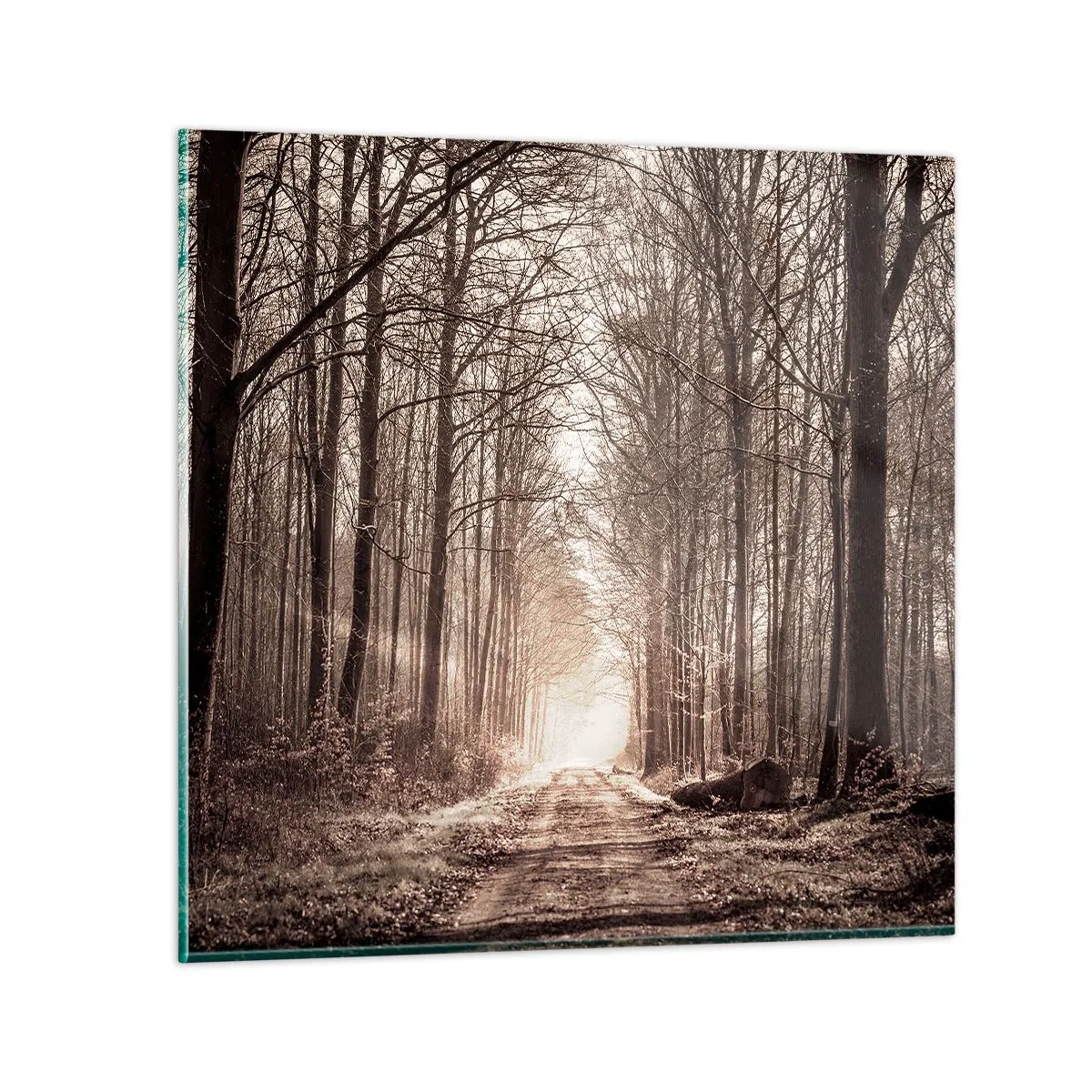 Schilderen op glas - Boskathedraal - 70x70 cm