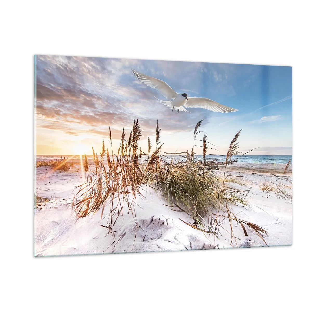 Schilderen op glas - Wind uit zee - 120x80 cm