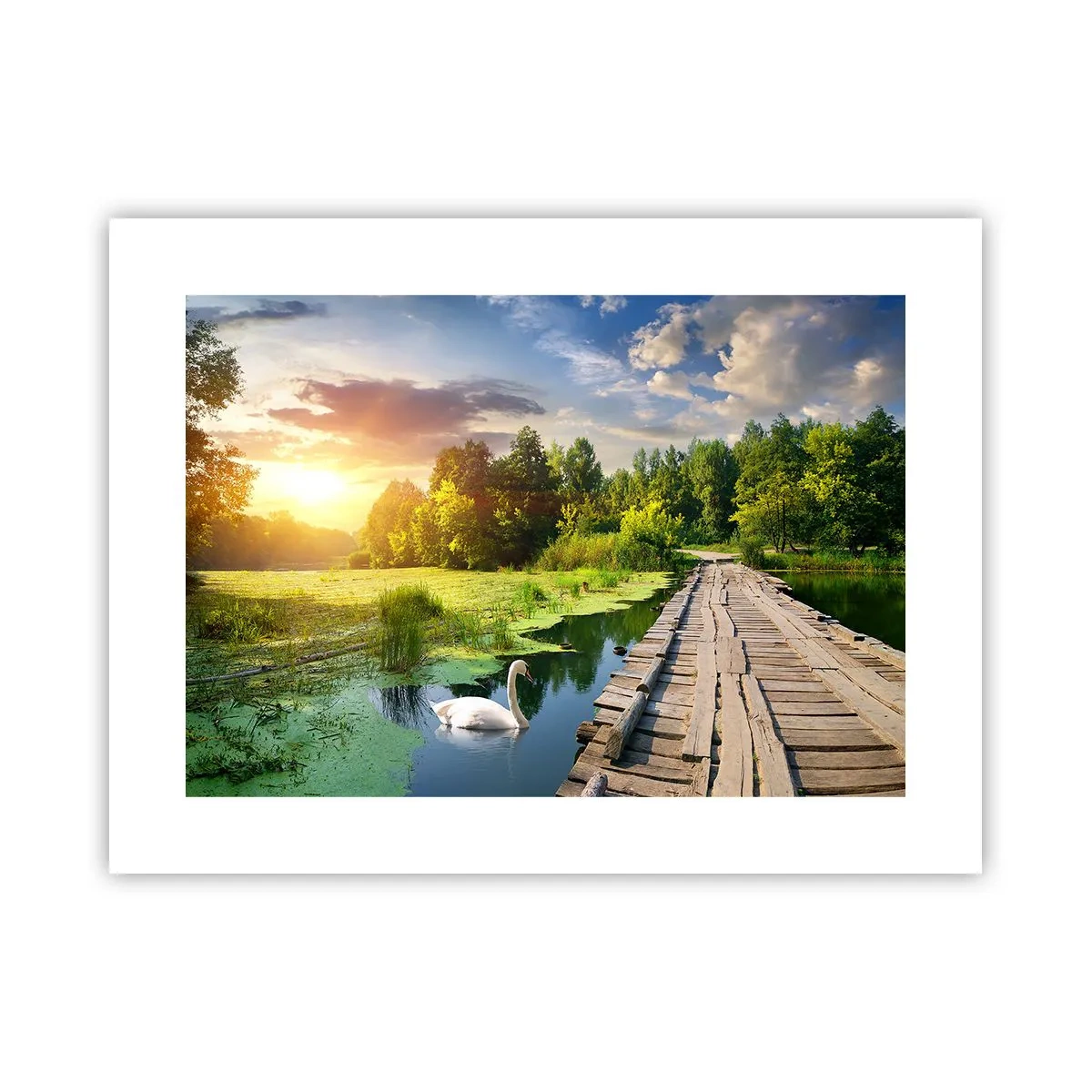 Poster - Zomer, zomer overal - 40x30 cm