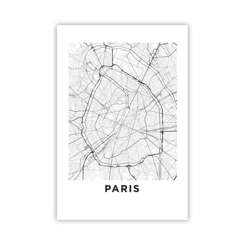 Poster - Parijs bloem - 61x91 cm