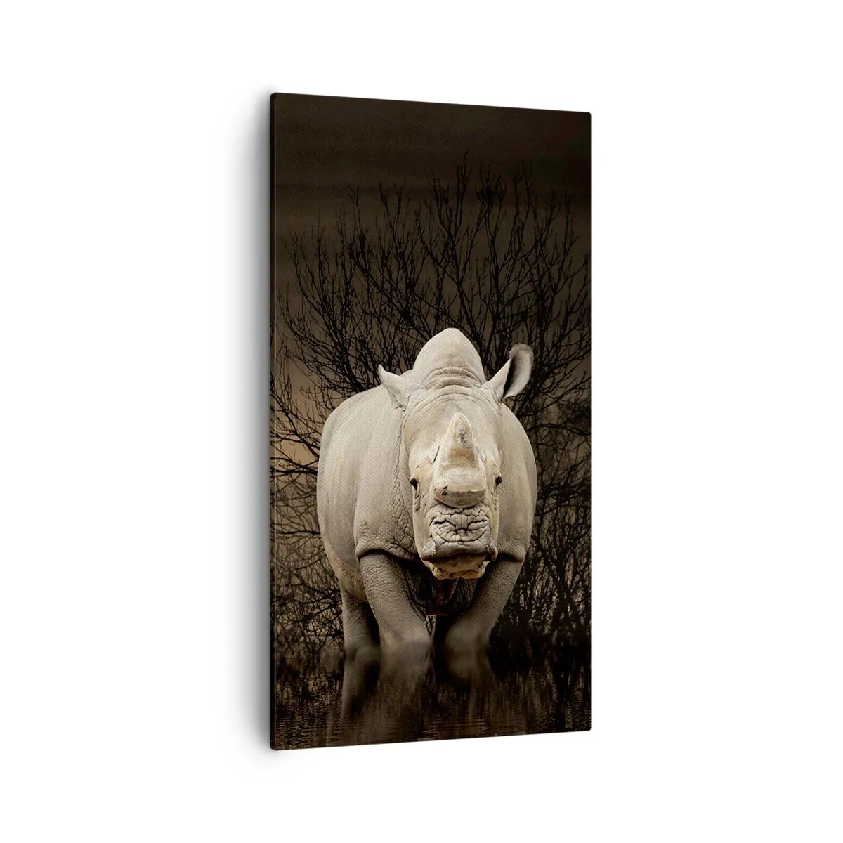 Schilderen op canvas - Wit tegen de natuur - 55x100 cm