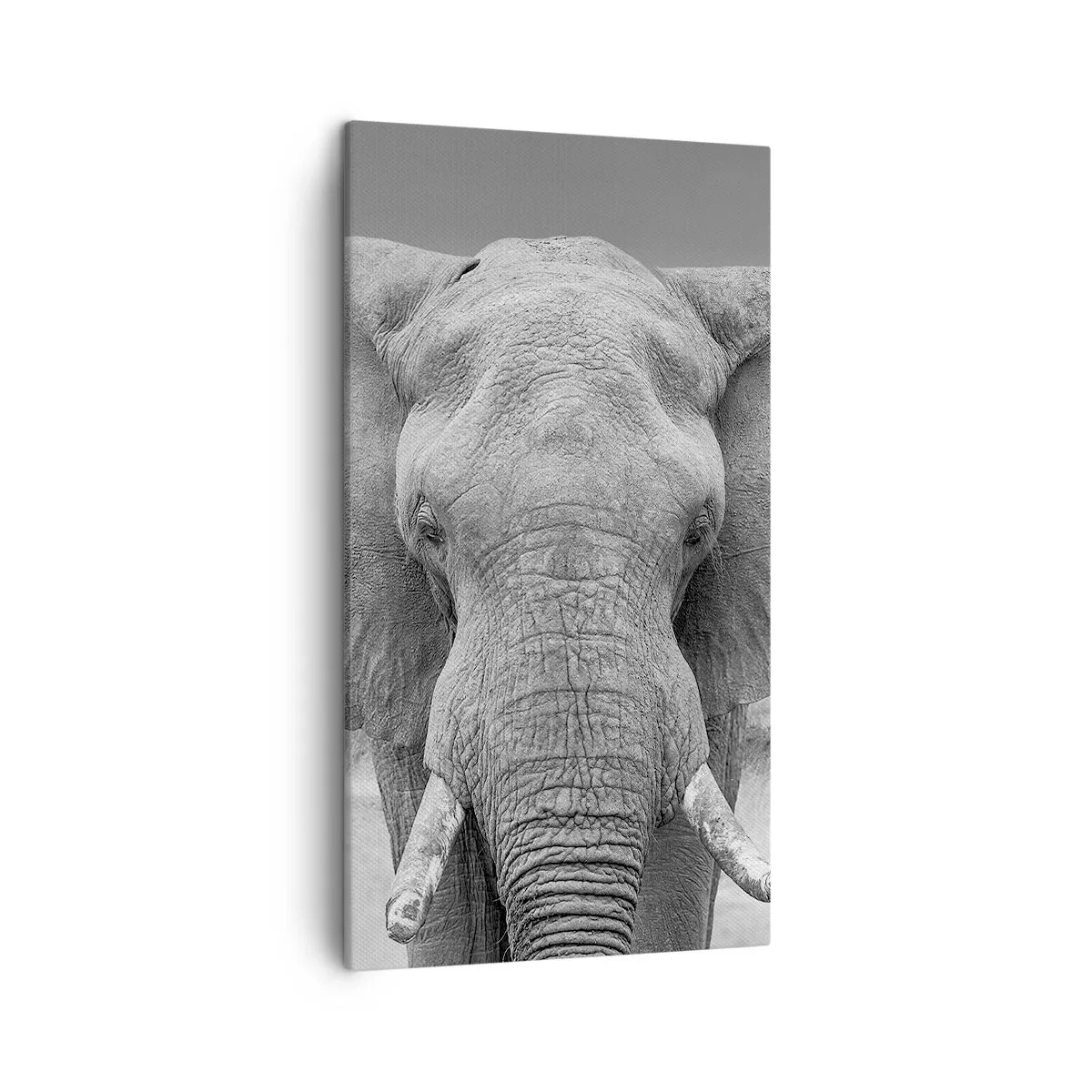 Schilderen op canvas - Welkom in mijn wereld - 45x80 cm