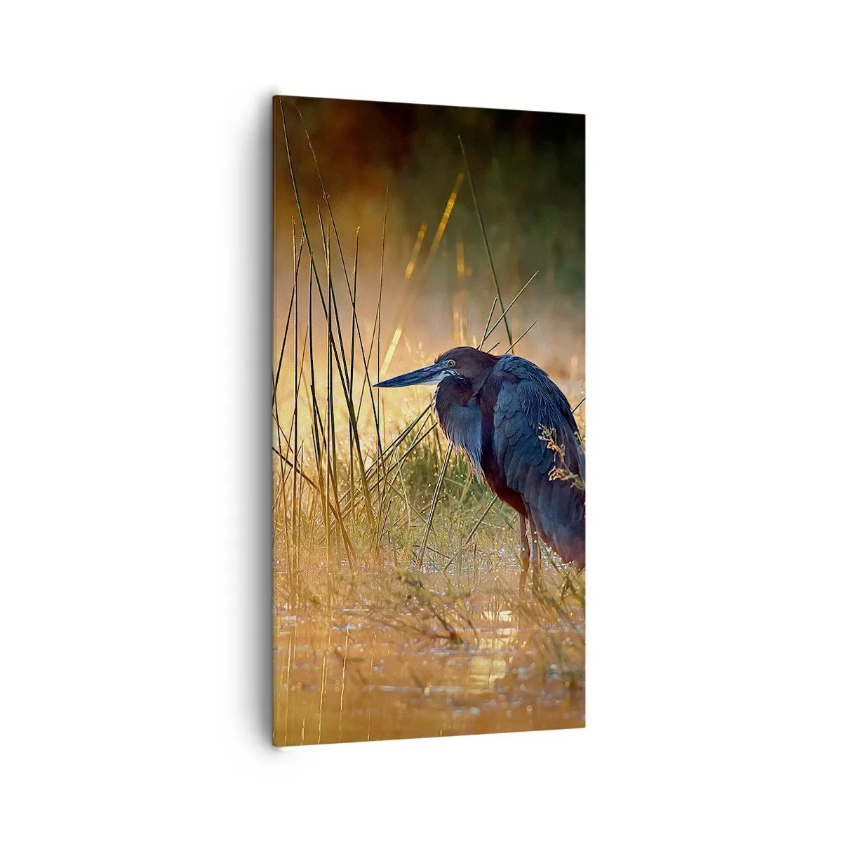 Schilderen op canvas - Kom op, geef me een pauze met deze foto's - 65x120 cm