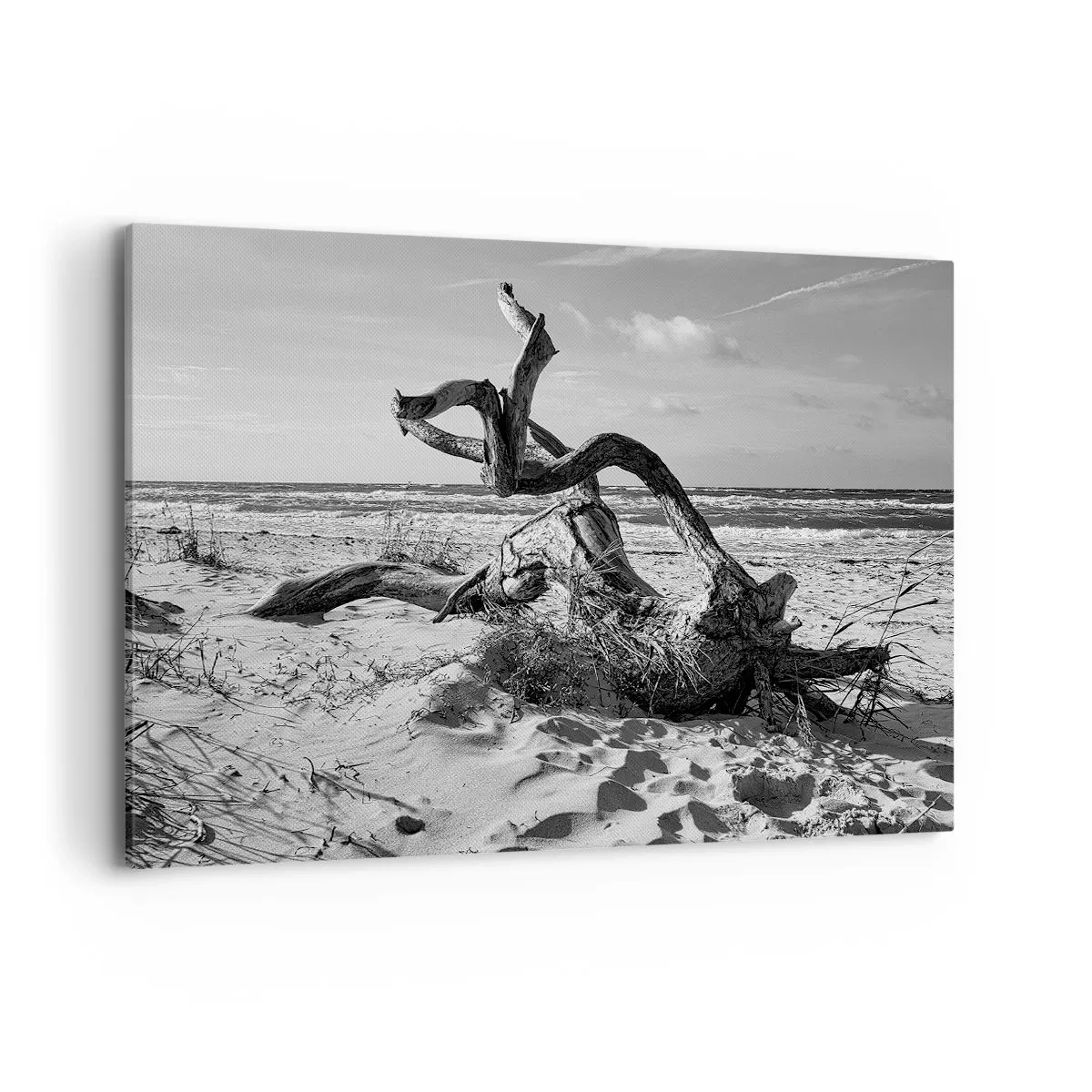 Schilderen op canvas - Zee sculptuur - 120x80 cm