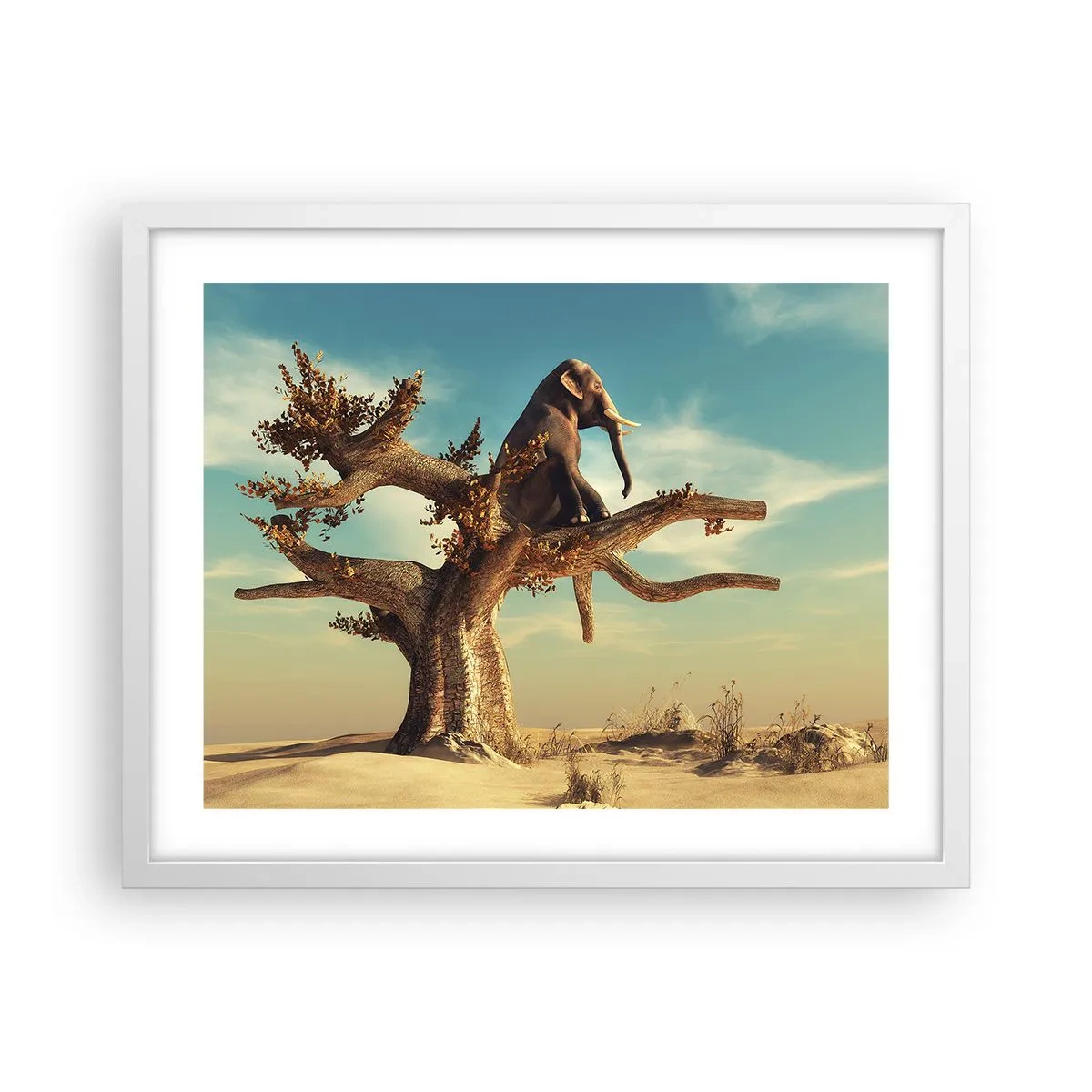 Poster in een witte lijst - Een nieuw gezichtspunt - 50x40 cm