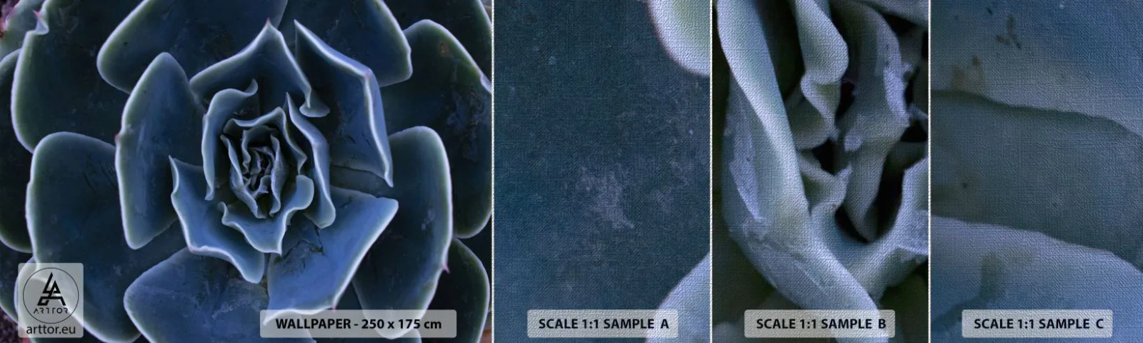 Fotobehang Monster Premium Canvas - Woestijn bloem - Agave bloem, Bloem, Natuur - 100x30 cm