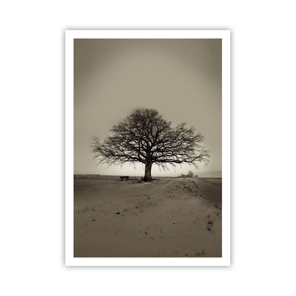 Poster - Van hier tot in de eeuwigheid - 70x100 cm