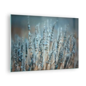 Schilderen op glas - Een lavendelveld in zacht, koel licht - 70x50cm - Geurig korenveld - Moderne wanddecoratie voor woonkamer en slaapkamer ARTTOR