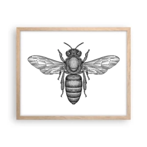Een poster in een licht eiken lijst - Insectenportret - 50x40 cm