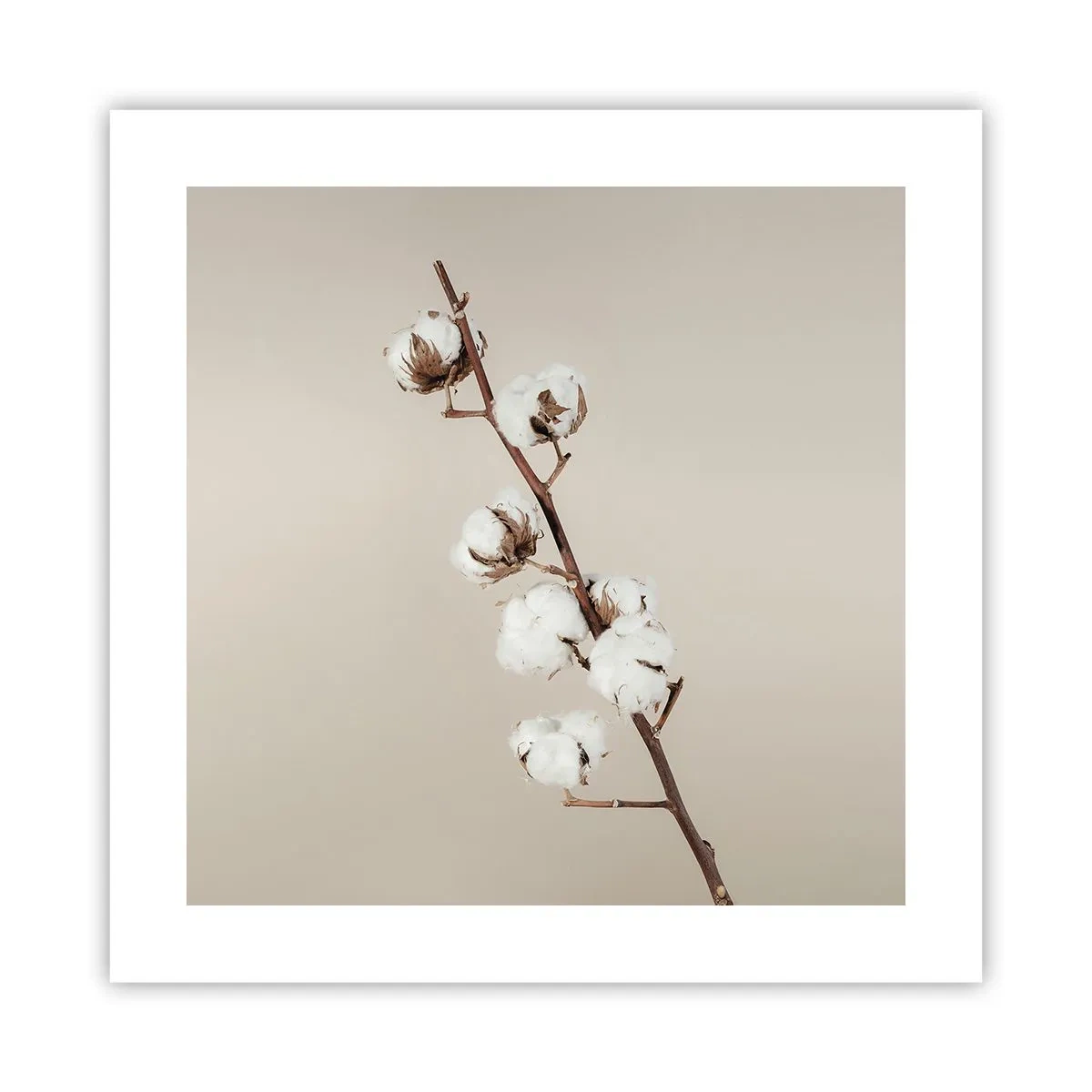 Poster - Aan de bron van zachtheid - 40x40 cm