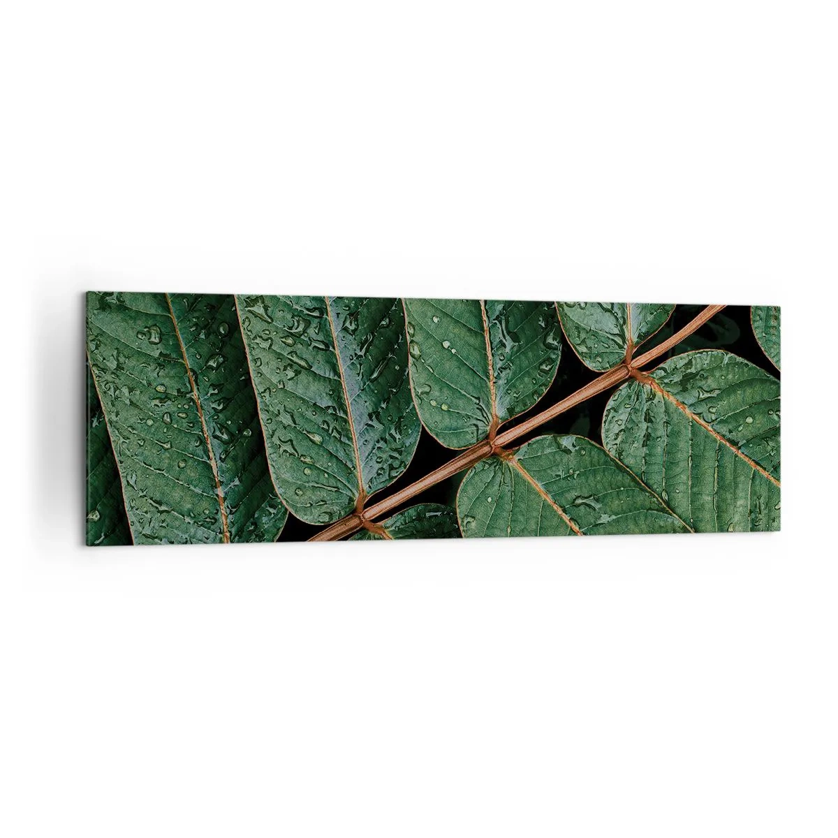 Schilderen op canvas - In een groen ritme - 160x50 cm