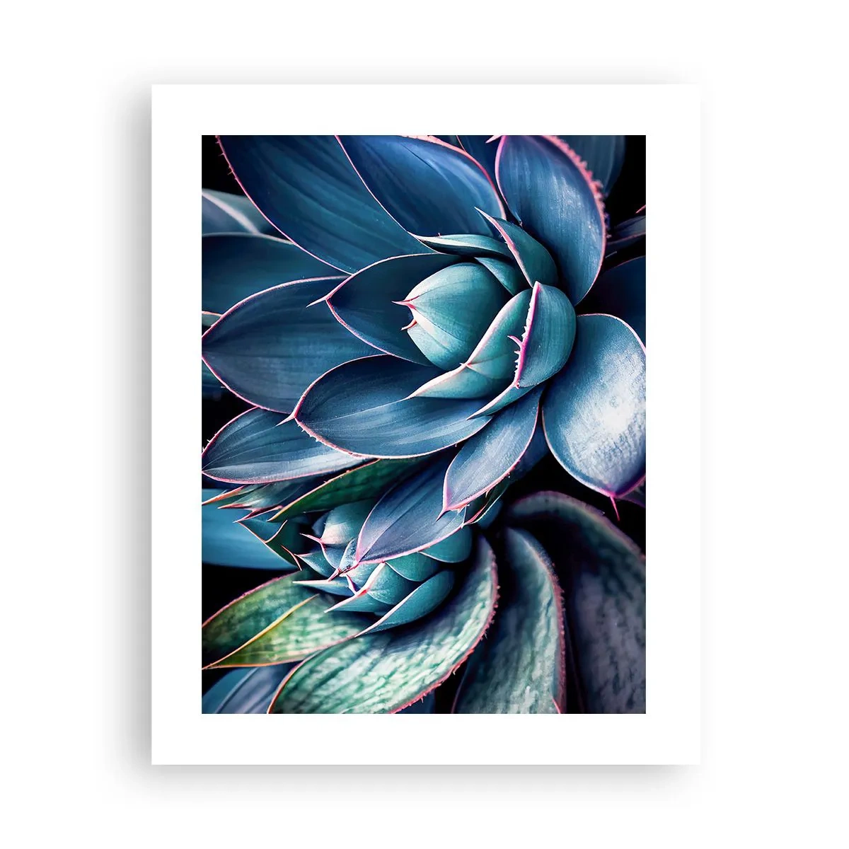 Poster - Levenskracht - 40x50 cm